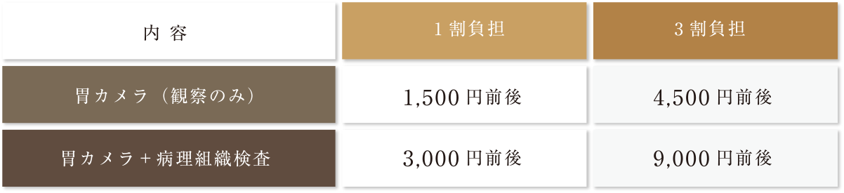 胃カメラ(観察のみ)1割負担:1,500円前後、3割負担:4,500円前後。胃カメラ+病理組織検査1割負担:3,000円前後、3割負担9,000円前後。
