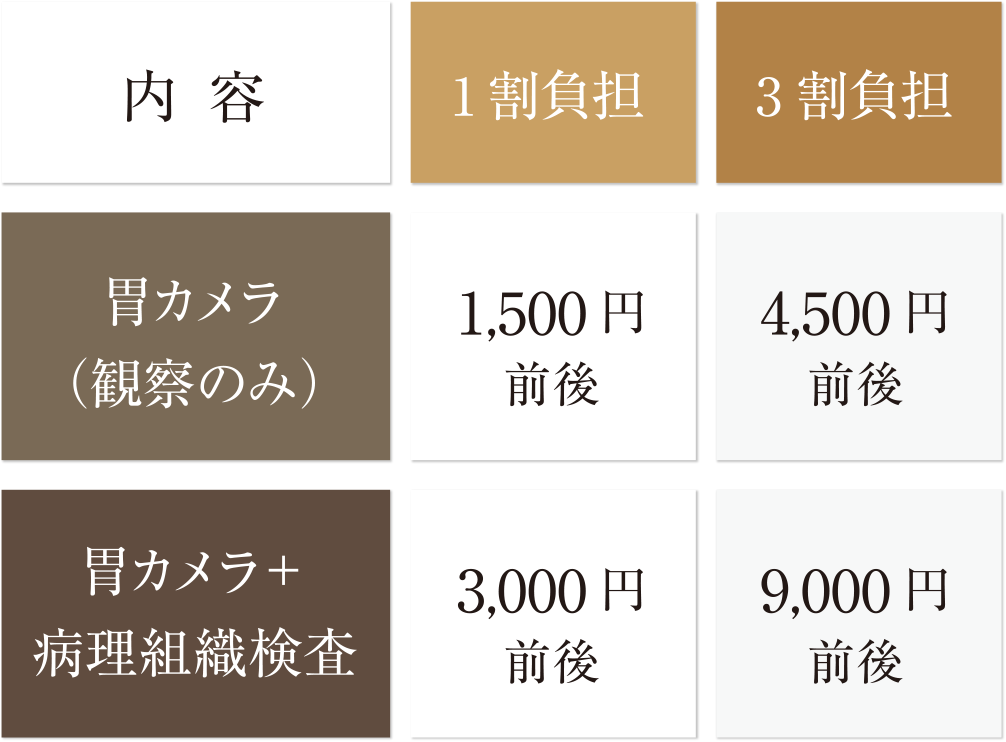 胃カメラ(観察のみ)1割負担:1,500円前後、3割負担:4,500円前後。胃カメラ+病理組織検査1割負担:3,000円前後、3割負担9,000円前後。