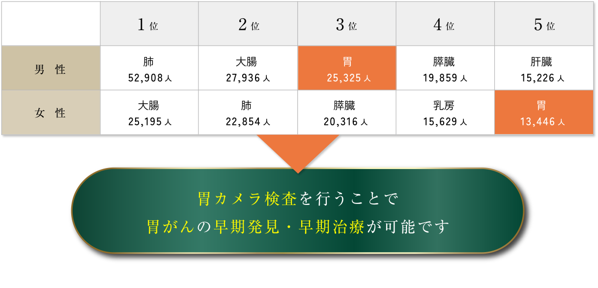 2023年 部位別がん死亡数の表/胃カメラ検査を行うことで胃がんの早期発見・早期治療が可能です