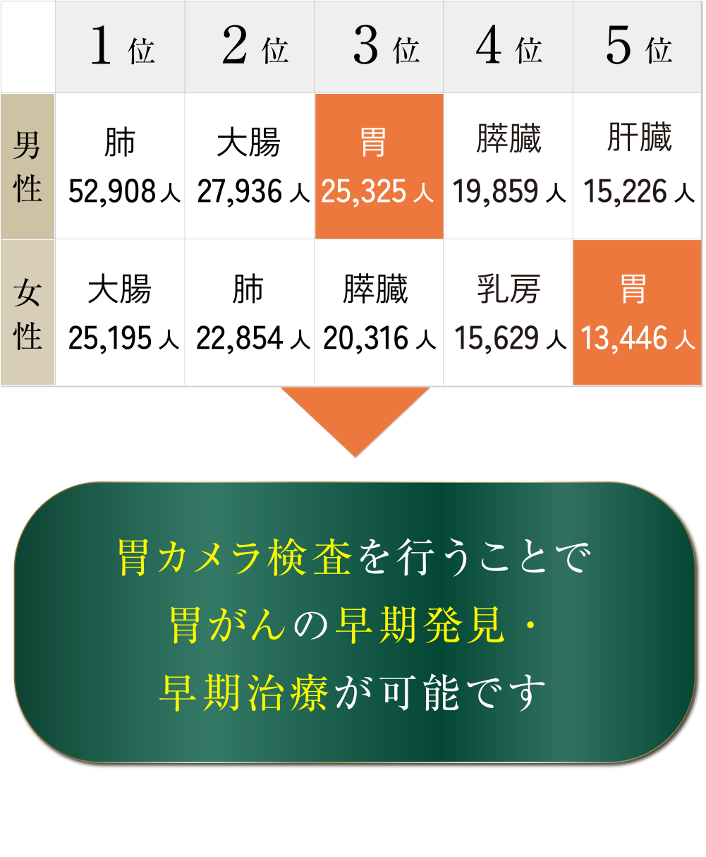 2023年 部位別がん死亡数の表/胃カメラ検査を行うことで胃がんの早期発見・早期治療が可能です